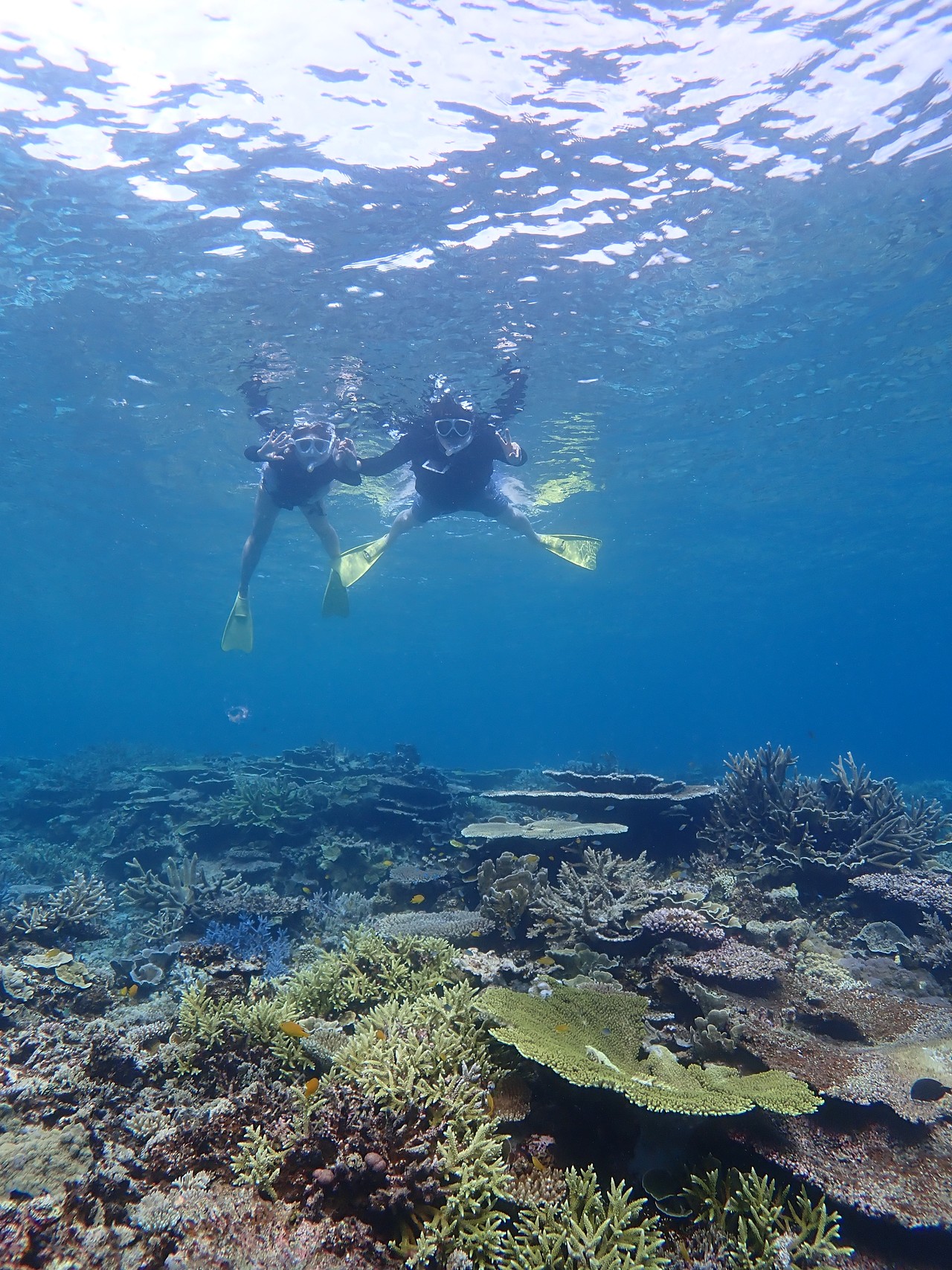 스노쿨링 커플사진