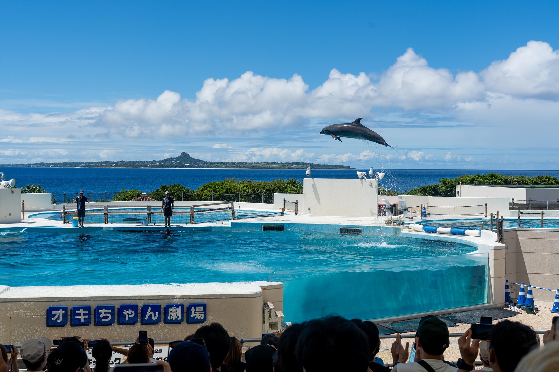 츄라우미 수족관 돌고래쇼