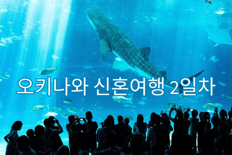 오키나와 신혼여행 2일차 썸네일