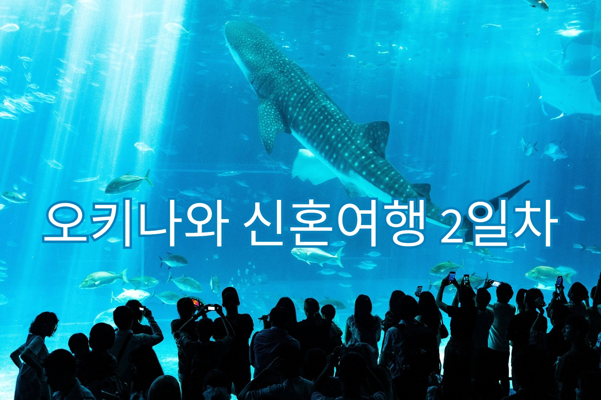 오키나와 신혼여행 2일차 썸네일