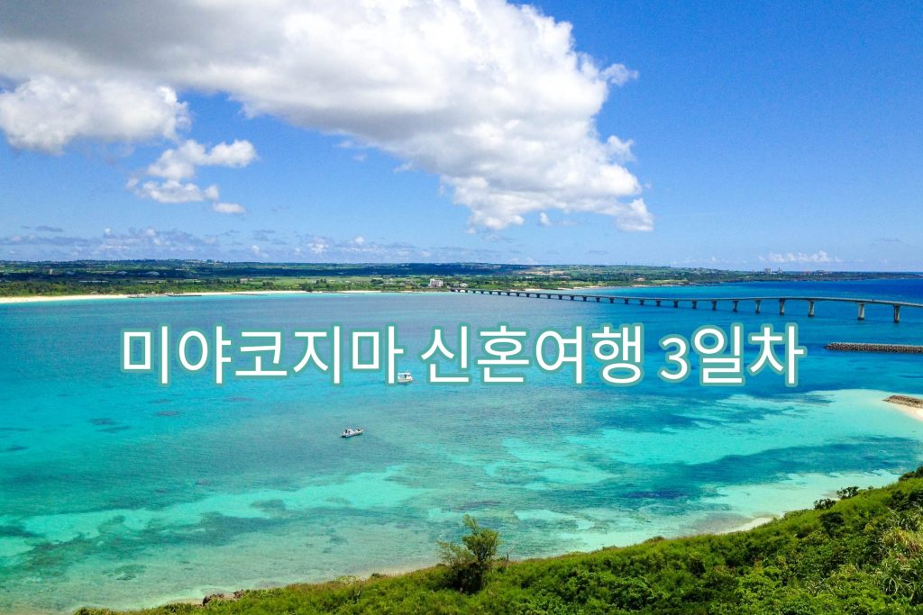 마야코지마 신혼여행 3일차 썸네일
