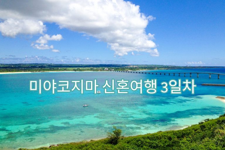 마야코지마 신혼여행 3일차 썸네일