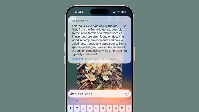 ios-26-visual-intelligence-ask