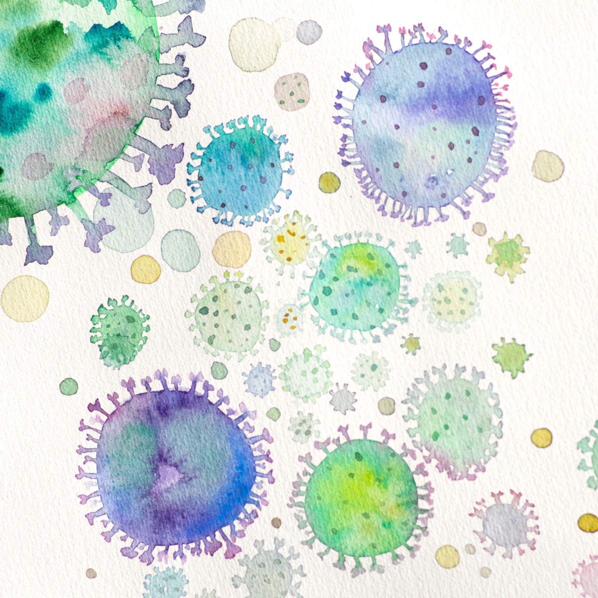 3가 백신과 4가 백신이 예방하는 바이러스 종류